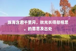 珠海含君千里月，秋光长得慰相思。的意思及出处