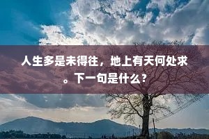 人生多是未得往，地上有天何处求。下一句是什么？