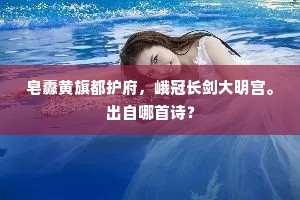 皂纛黄旗都护府，峨冠长剑大明宫。出自哪首诗？