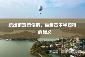 貌出群贤皆似鹤，坐当古木半如楷。的释义