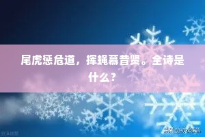 尾虎惩危道，挥蝇慕昔贤。全诗是什么？