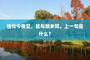 独怜今夜见，犹与故乡同。上一句是什么？