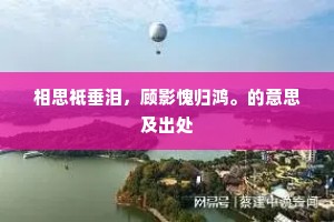 相思祗垂泪，顾影愧归鸿。的意思及出处