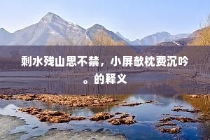 剩水残山思不禁，小屏欹枕费沉吟。的释义