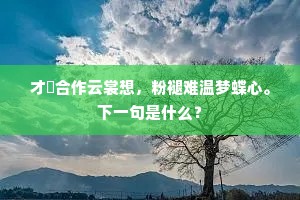 才秾合作云裳想，粉褪难温梦蝶心。下一句是什么？