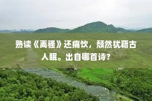 熟读《离骚》还痛饮，颓然犹藉古人眠。出自哪首诗？