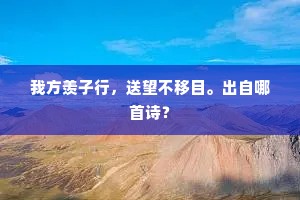 我方羡子行，送望不移目。出自哪首诗？