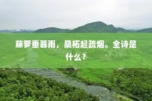 藤萝垂暮雨，桑柘起疏烟。全诗是什么？