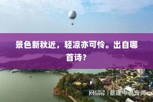 景色新秋近，轻凉亦可怜。出自哪首诗？