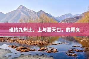 谁抟九州土，上与塞天口。的释义
