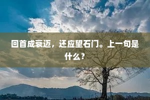 回首成衰迈，还应望石门。上一句是什么？