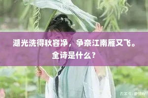 湖光洗得秋容净，争奈江南雁又飞。全诗是什么？