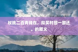 杖挑二百青钱在，拟买村醪一醉还。的释义