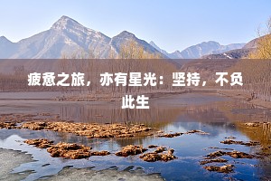 疲惫之旅，亦有星光：坚持，不负此生