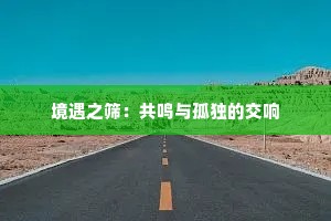 境遇之筛：共鸣与孤独的交响
