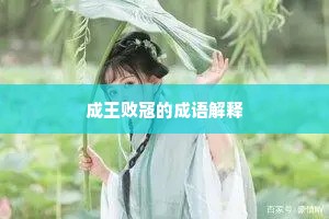 成王败寇的成语解释