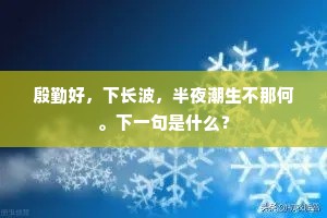 殷勤好，下长波，半夜潮生不那何。下一句是什么？