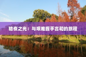 暗夜之光：与艰难握手言和的旅程