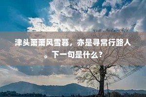 津头萧萧风雪暮，亦是寻常行路人。下一句是什么？