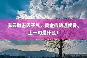赤云敢击天子气，黄金待铸通侯骨。上一句是什么？