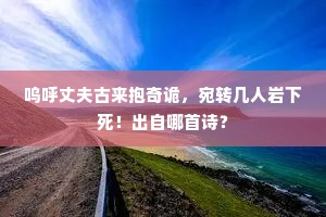 呜呼丈夫古来抱奇诡，宛转几人岩下死！出自哪首诗？