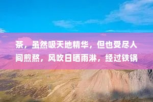茶，虽然吸天地精华，但也受尽人间煎熬，风吹日晒雨淋，经过铁锅炒被开水泡，最终才有了自己的香气。人何尝不是如此?没有经历绝境和万念俱灰，又如何破茧重生?