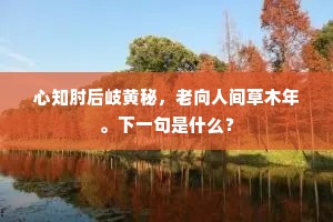 心知肘后岐黄秘，老向人间草木年。下一句是什么？