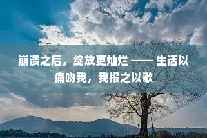 崩溃之后，绽放更灿烂 —— 生活以痛吻我，我报之以歌