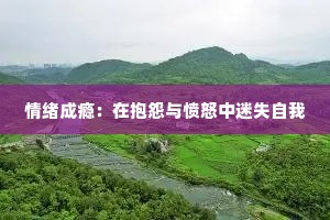 情绪成瘾：在抱怨与愤怒中迷失自我