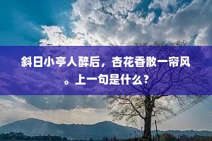 斜日小亭人醉后，杏花香散一帘风。上一句是什么？