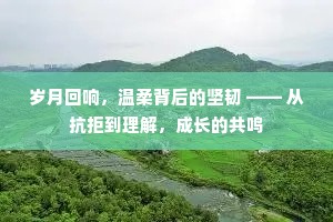 岁月回响，温柔背后的坚韧 —— 从抗拒到理解，成长的共鸣