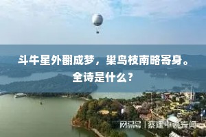 斗牛星外翻成梦，巢鸟枝南略寄身。全诗是什么？