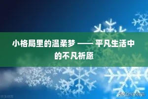 小格局里的温柔梦 —— 平凡生活中的不凡祈愿