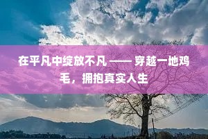 在平凡中绽放不凡 —— 穿越一地鸡毛，拥抱真实人生