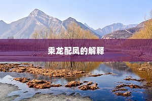 乘龙配凤的解释