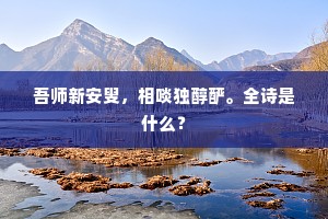 吾师新安叟，相啖独醇酽。全诗是什么？