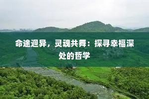 命途迥异，灵魂共舞：探寻幸福深处的哲学