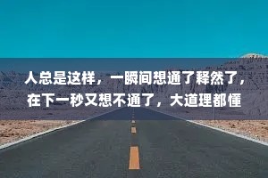 人总是这样，一瞬间想通了释然了，在下一秒又想不通了，大道理都懂，可小情绪却难以自控。