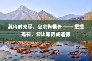 莫待时光尽，空余悔恨长 —— 把握现在，勿让等待成遗憾