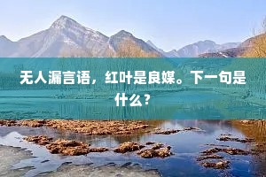 无人漏言语，红叶是良媒。下一句是什么？