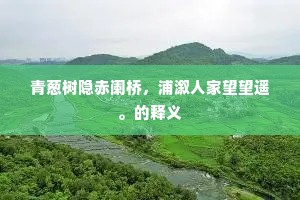 青葱树隐赤阑桥，浦溆人家望望遥。的释义