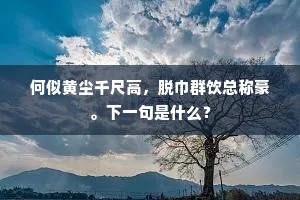 何似黄尘千尺高，脱巾群饮总称豪。下一句是什么？