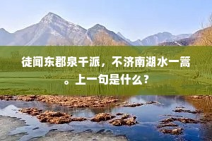 徒闻东郡泉千派，不济南湖水一篙。上一句是什么？