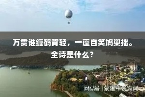 万贯谁缠鹤背轻，一蓬自笑鸠巢拙。全诗是什么？