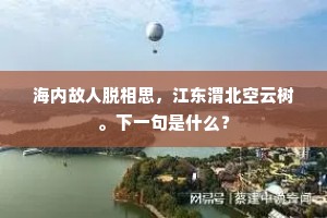 海内故人脱相思，江东渭北空云树。下一句是什么？