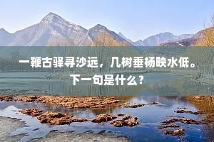 一鞭古驿寻沙远，几树垂杨映水低。下一句是什么？