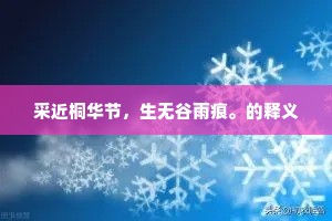 采近桐华节，生无谷雨痕。的释义