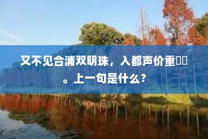 又不见合浦双明珠，入都声价重璠玙。上一句是什么？