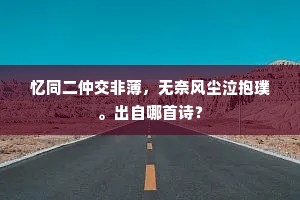 忆同二仲交非薄，无奈风尘泣抱璞。出自哪首诗？