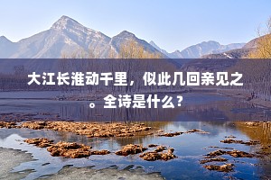 大江长淮动千里，似此几回亲见之。全诗是什么？
